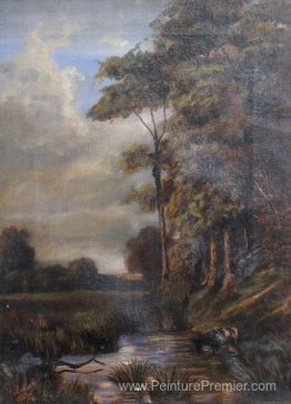 Paysage Paysage