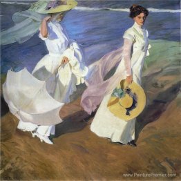 Se promener le long du bord de la mer Se promener le long du bord de la mer