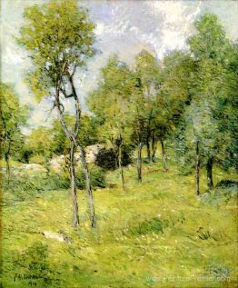 Paysage de l'été Paysage de l'été