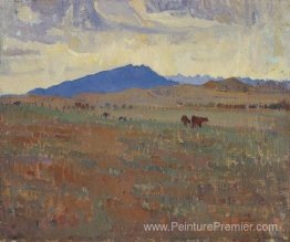Hawker, Flinders Ranges Hawker, Flinders Ranges