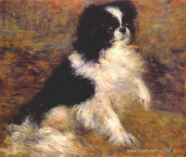 Tama le chien japonais Tama le chien japonais