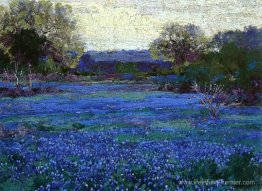 Bluebonnets par une journée grise Bluebonnets par une journée grise
