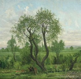 Paysage Paysage