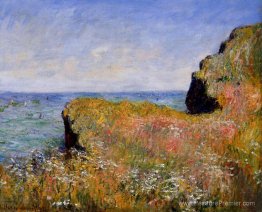 Edge de la falaise, pourville Edge de la falaise, pourville