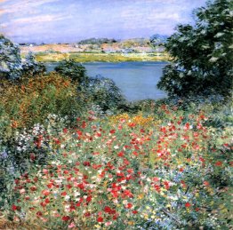 Jardin de pavot Jardin de pavot