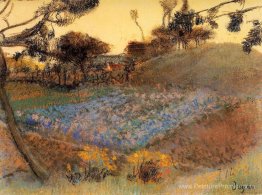 Champ de lin Champ de lin