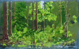 Forêt Forêt