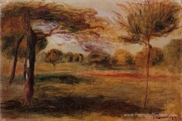 Paysage Paysage