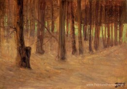 Forêt avec une clairière ensoleillée en arrière-plan Forêt avec une clairière ensoleillée en arrière-plan
