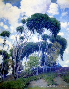 Laguna Eucalyptus Laguna Eucalyptus