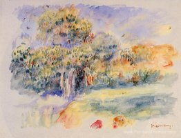 Paysage Paysage