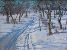Route dans un jardin d'hiver Route dans un jardin d'hiver