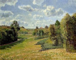 Berneval Meadows, matin Berneval Meadows, matin