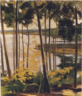 Lac Mimizan Lac Mimizan