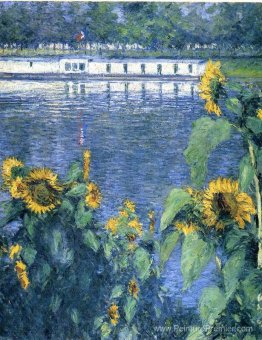 Tournesols sur les rives de la Seine Tournesols sur les rives de la Seine