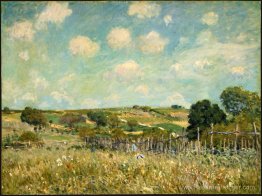 Prairie Prairie