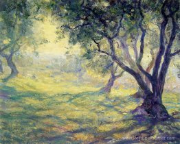 Olive Grove provincial Olive Grove provincial
