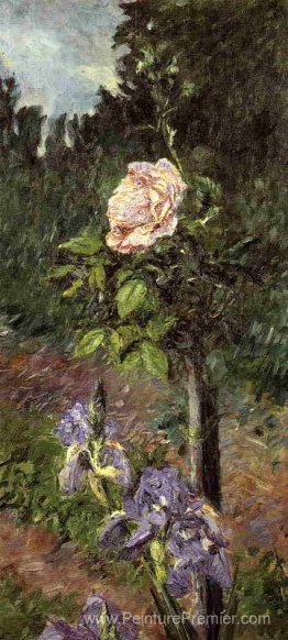 Rose avec des iris violets, jardin chez Petit Gennevilliers Rose avec des iris violets, jardin chez Petit Gennevilliers