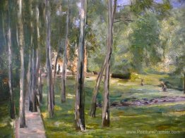 Bouleau grandir Bouleau grandir