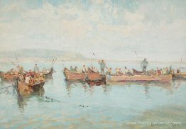 Nets à Tulcea Nets à Tulcea