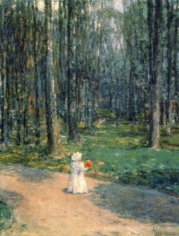 Parc central Parc central