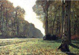 La pave de Chailly dans la forêt La pave de Chailly dans la forêt