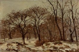 Brandard de châtaignier en hiver Brandard de châtaignier en hiver