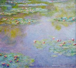 Nénuphars Nénuphars