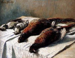 Faisans et plots Faisans et plots