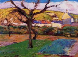 Paysage Paysage