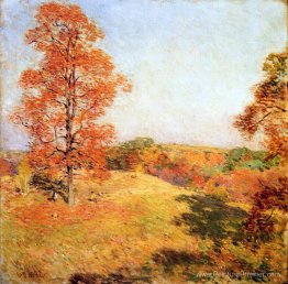 Rassemblement de noix Rassemblement de noix