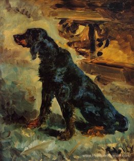 Dun, un setter Gordon appartenant à la comte Alphonse de Toulous Dun, un setter Gordon appartenant à la comte Alphonse de Toulous