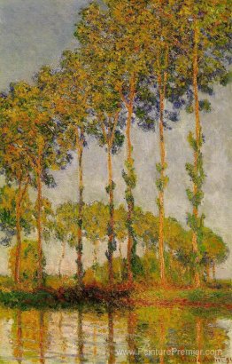 Poublon, rangée en automne Poublon, rangée en automne