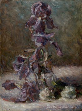 Iris dans un vase 1886 Iris dans un vase 1886