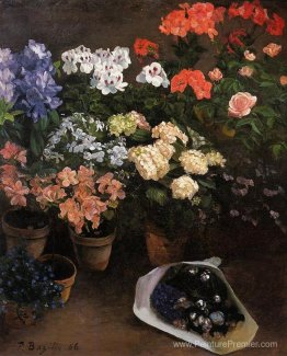 Étude des fleurs Étude des fleurs