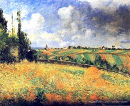 Des champs Des champs