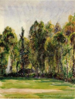 Paysage Paysage