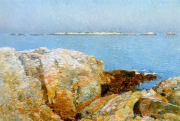 Île de canard Île de canard
