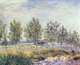Wiese par Wiese par