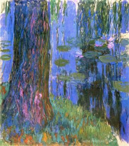 Weeping Willow e Water-Lily Pond Weeping Willow e Water-Lily Pond