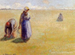 Trois femmes coupent l'herbe Trois femmes coupent l'herbe