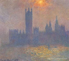 Maisons du Parlement, effet de la lumière du soleil dans le brou Maisons du Parlement, effet de la lumière du soleil dans le brou