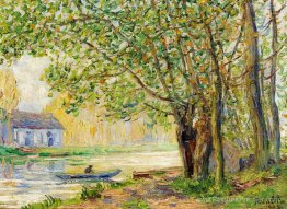 L'effet du soleil sur les rives de la Ling L'effet du soleil sur les rives de la Ling