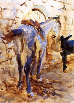 Cheval de selle, Palestine Cheval de selle, Palestine