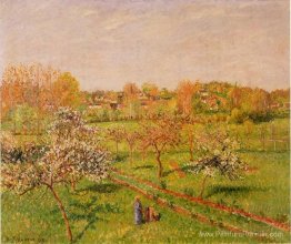 Matin, pommiers à fleurs, Eragny Matin, pommiers à fleurs, Eragny