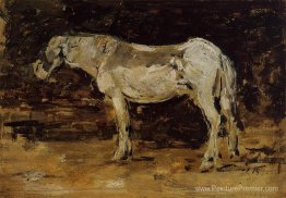 Le cheval blanc Le cheval blanc
