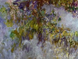 Wisteria (moitié gauche) Wisteria (moitié gauche)