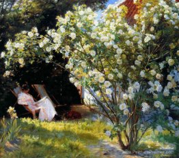 Marie dans le jardin (les roses) Marie dans le jardin (les roses)