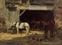Chevaux à louer dans une cour Chevaux à louer dans une cour