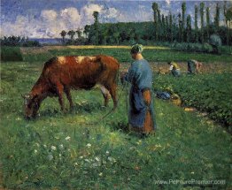 Fille qui tend une vache en pâturage Fille qui tend une vache en pâturage